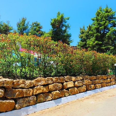Ariadni Villa Sani Sani  Ngoại thất bức ảnh