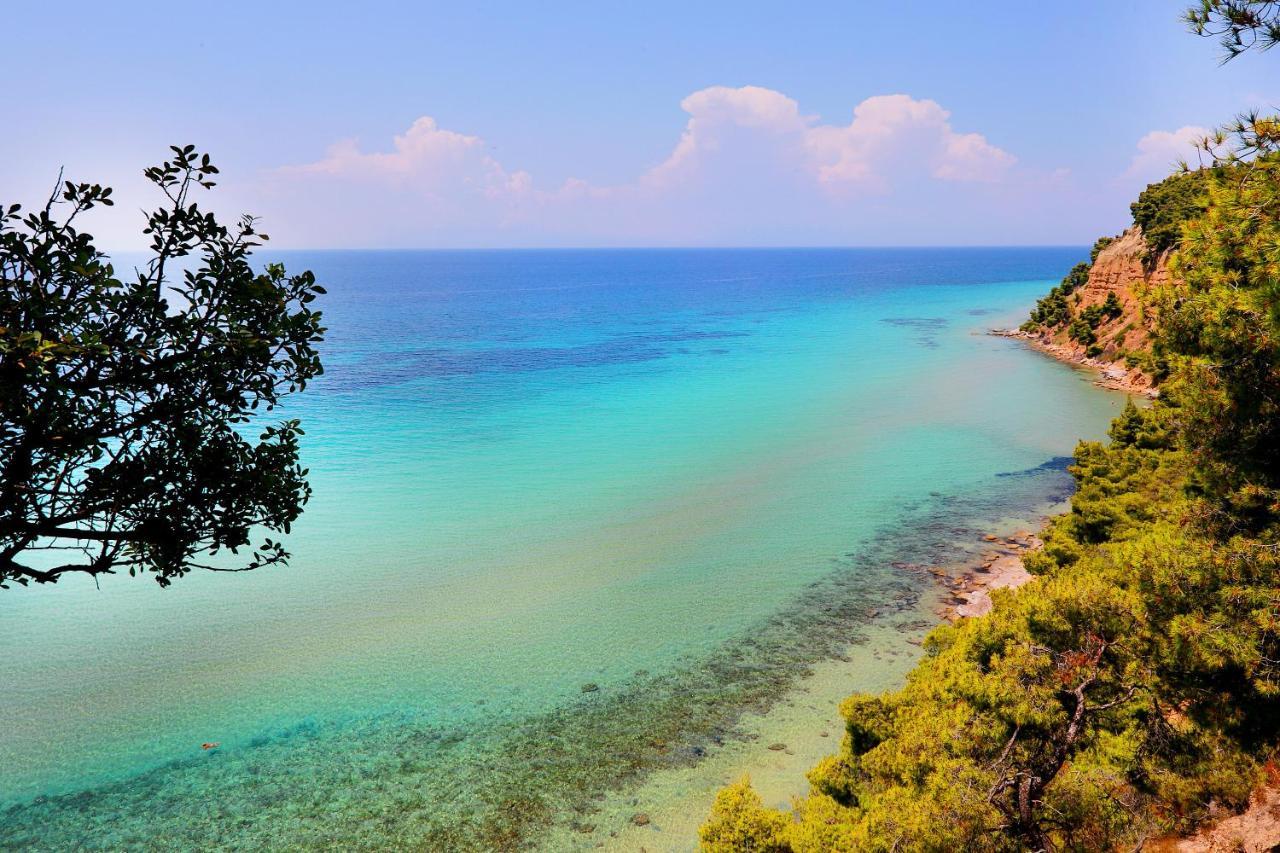 Ariadni Villa Sani Sani  Ngoại thất bức ảnh