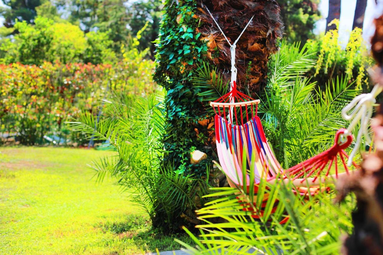 Ariadni Villa Sani Sani  Ngoại thất bức ảnh